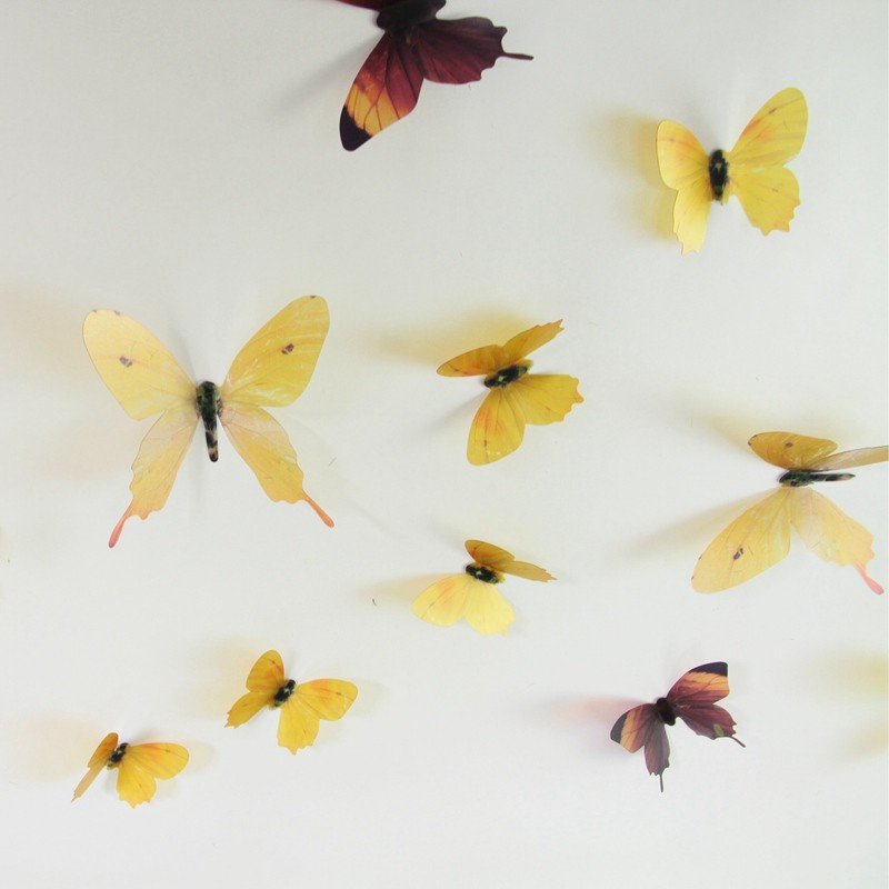 18 Fluturi 3D realisti - Yellow and Brown